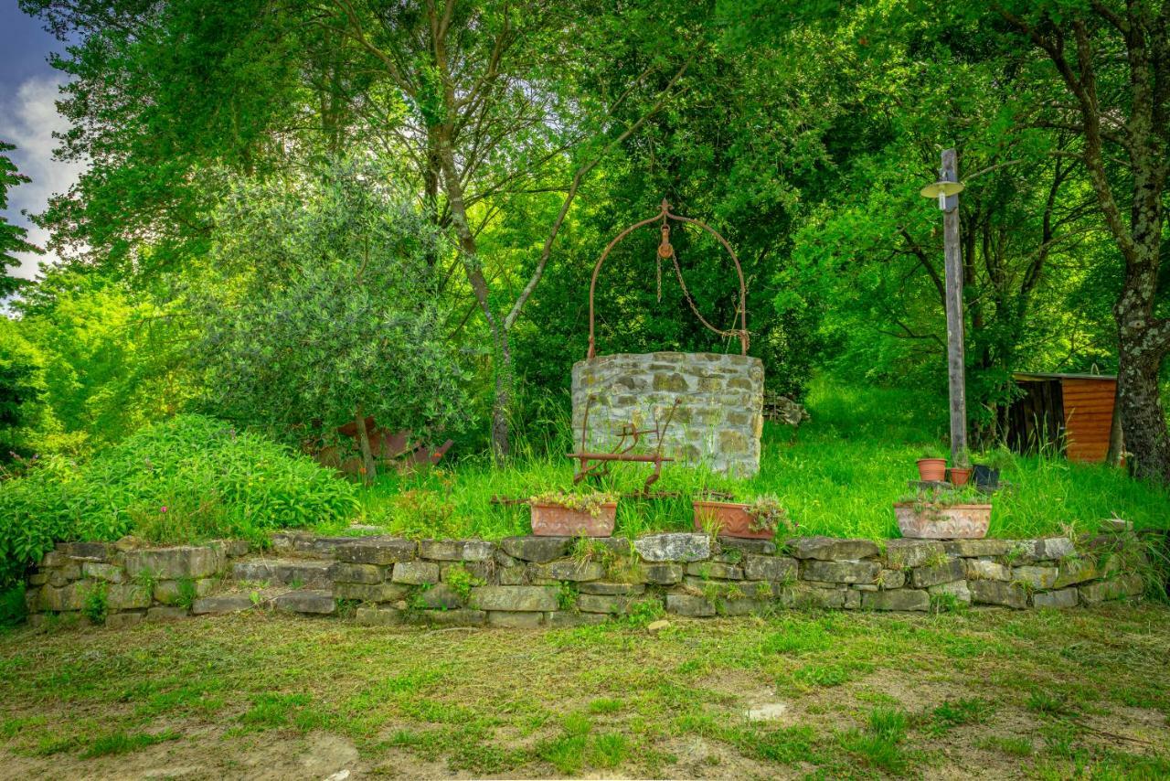 בית הארחה SantʼEllero 	Casa Al Bosco מראה חיצוני תמונה